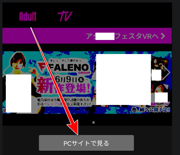 Adult Festa TV on a phone: the View PC site button
